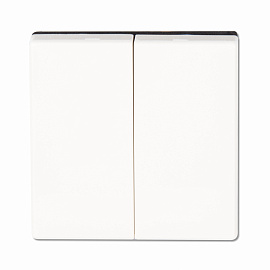 Клавиша двойная Ecoprofi белый EP495WW JUNG