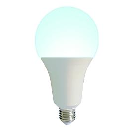 Лампа светодиодная 30 Вт . Форма "A", матовая. Серия Norma. Дневной белый свет LED-A95-30W/6500K/E27/FR/NR UL-00005606