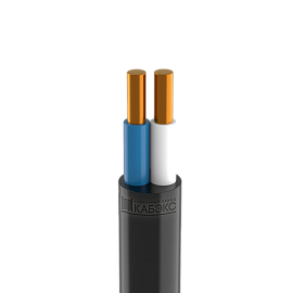 Кабель ВВГнг(A)-LS 2х 2,5 ок (N,PE) -0,66 Кабэкс ТХМ00353695 (10м)