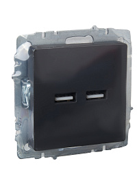 Розетка USB BRITE A+A 3,1А РЮ10-1-БрГ графит BR-U21-D31-K53 IEK