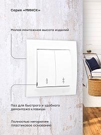 Выключатель двухклавишный СП проходной 10А белый Минск Basic ERV10-027-10 EKF