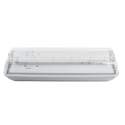 Изображение товара Аварийный светильник DFA 20LED EM101 IP65 от Feron с аккумулятором