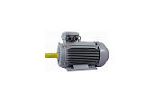 Электродвигатель 160 M2 GST-Б1-S12-IE2 IM 2001 18.5/3000 Китай (ESQ PR)