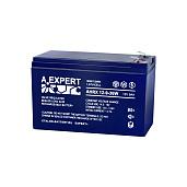 Аккумулятор EXPERT AHRX 12-9-36W 400-12/36W