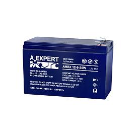 Аккумулятор EXPERT AHRX 12-9-36W 400-12/36W