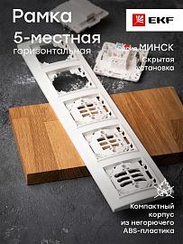 Рамка для розеток и выключателей 5 постов Минск скрытой установки горизонтальная белый ERM-G-305-10 EKF