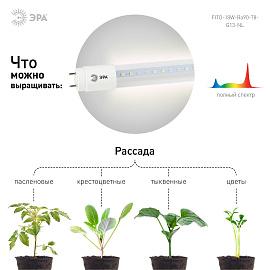 Фитолампа для растений светодиодная FITO-18W-Ra90-Т8-G13-NL полного спектра 18 Вт Т8 G13 ЭРА
