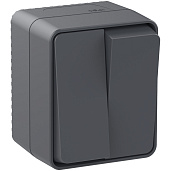 Выключатель двухклавишный AtlasDesign Profi54 открытой установки 10 АХ Антрацит IP54 ATN544051 Systeme Electric