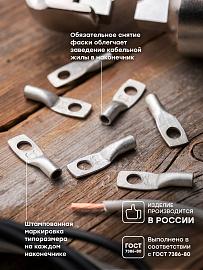 Наконечник медный луженый   ТМЛ 6-6-4 EKF PROxima