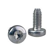 Винт самонарезающий TORX T30 (M6x12) NSYST30M6S SE
