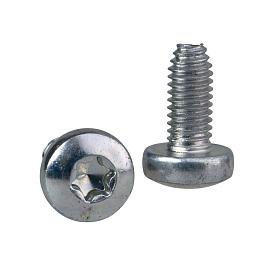Винт самонарезающий TORX T30 (M6x12) NSYST30M6S SE